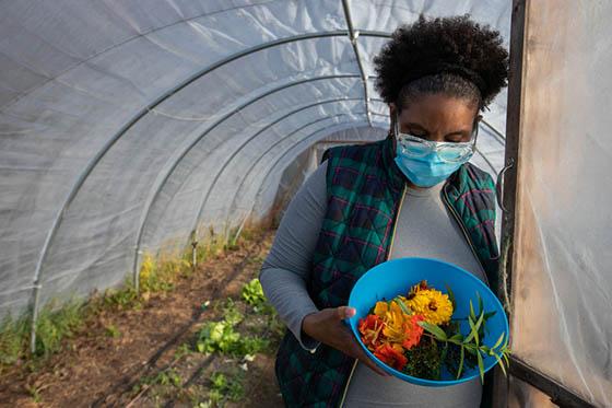 Photo of a Chatham University student in an 伊甸堂校园 greenhouse, holding a bucket of recently harvested produce